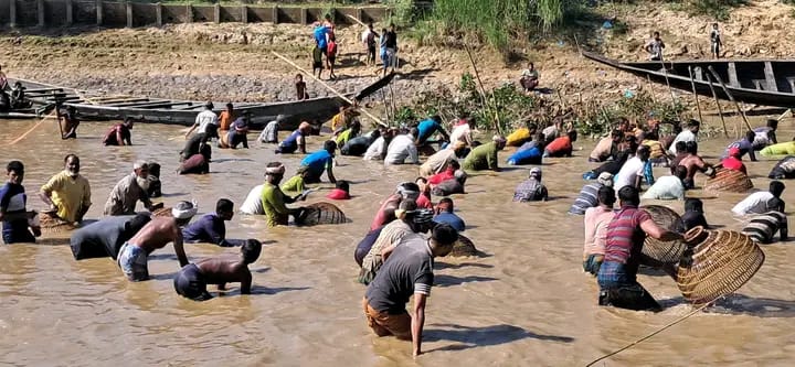 জুড়ীর কন্টিনালা নতীতে পলো বাওয়া উৎসব